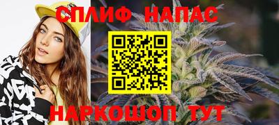 стафф Обь