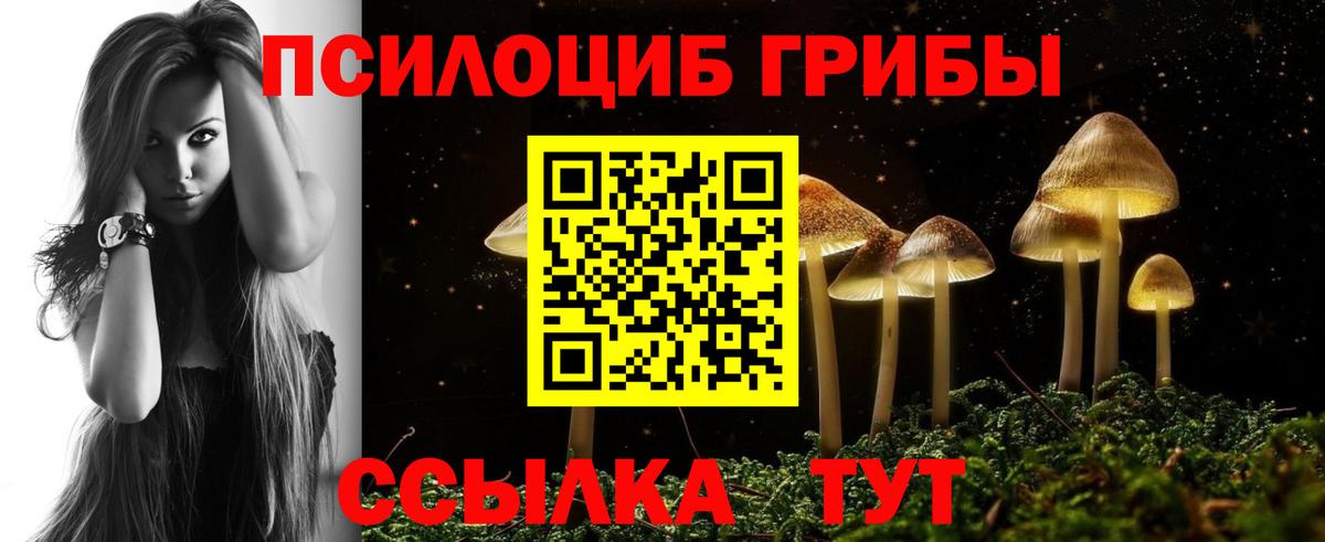 Галлюциногенные грибы ЛСД  Вход с VPN  Галлюциногенные грибы ЛСД  Чита 